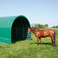 Horse next to Lubratec pasture shelter with gate