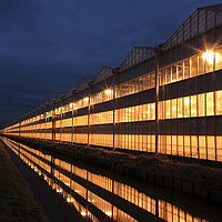 HUESKER greenhouse at night - Illuminated building