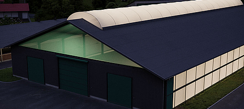 Natural and active lighting in the poultry house for healthy chickens Poultry house lighting: light ridge, LED lighting for chicken welfare