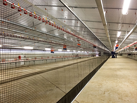 Roller screen used as a partition in a poultry hous