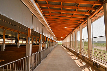 Interior view of the open stable
