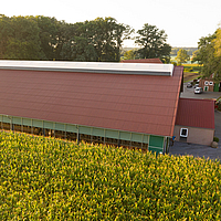 Stable building with light ridge and winding ventilation behind a maize field