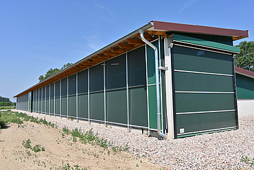 Exterior view of the pigsty with a roller door