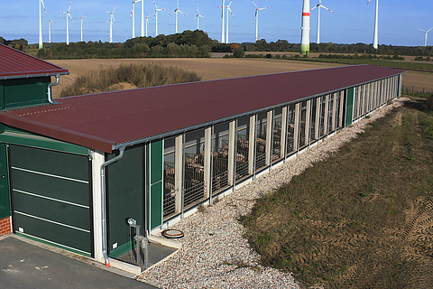 Exterior view of a pigsty with plenty of light and air