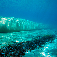 Underwater view of groynes and breakwaters