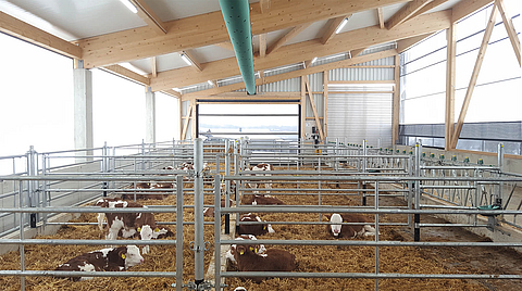 Calf health barn realised with the Lubratec concept for healthy calf husbandry