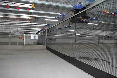 Interior view of the poultry house with a roller shutter used as a partition