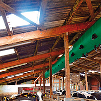 Bottom view of the Tube Air ventilation hose in a cow shed