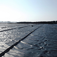 Overview of an area completely equipped with Basetrac® Woven Reinforcement Fabric