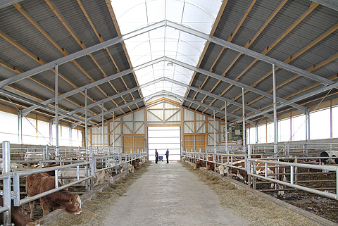 Lubratec® Lichtfirst - Natural barn lighting and barn ventilation for the well-being of your animals.