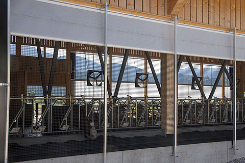 Close-up view of an open roll-up vent installed in a dairy cow shed