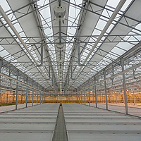 UmbraTex® Blackout - Efficient use of energy in the greenhouse