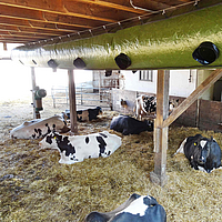 Lubratec Tube Cool mounted on support beams in a cow shed Lubratec Tube Cool mounted on support beams for cooling ventilation of the cow shed